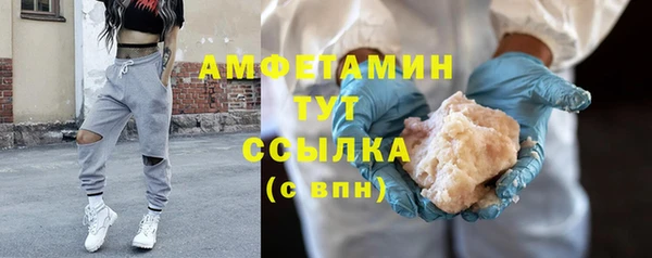 прущие грибы Баксан