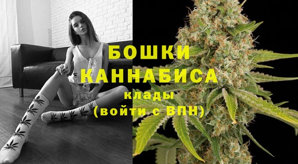 стафф Няндома