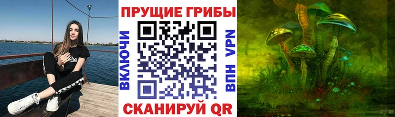 Галлюциногенные грибы MAGIC MUSHROOMS  Облучье 